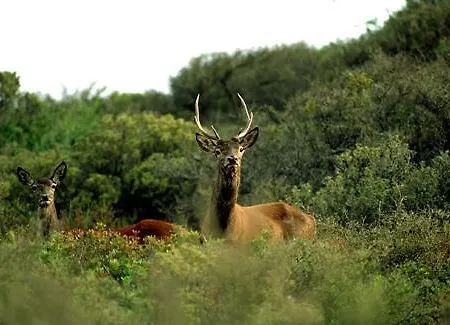 Alojamento de Turismo Rural Satanca *