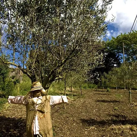 Agriturismo Satanca Arbus