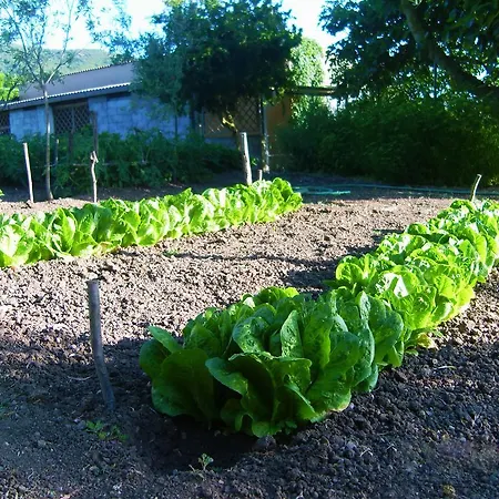 Agriturismo Satanca Arbus