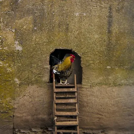 Alojamento de Turismo Rural Satanca