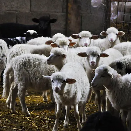 Agriturismo Satanca Séjour à la ferme *