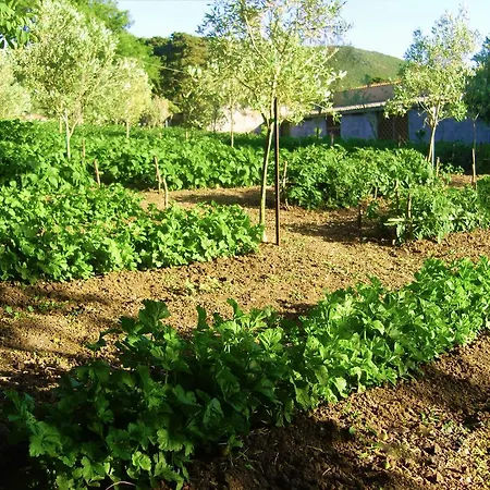 Agriturismo Satanca Farm stay Arbus