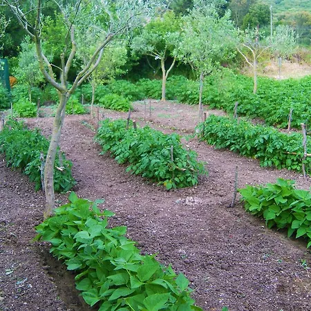 Farm stay Agriturismo Satanca *