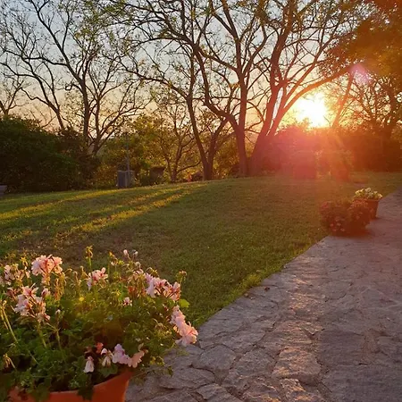 Agriturismo Satanca Farm stay