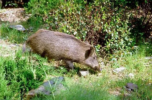 Фермерский дом Satanca
