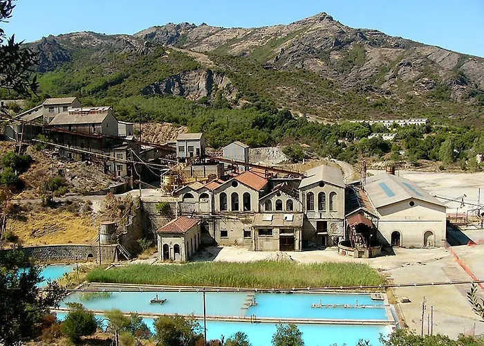 Satanca * Арбус