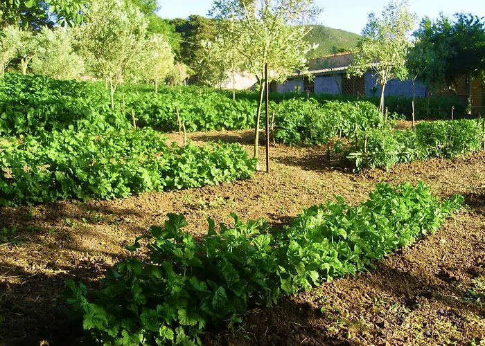 Satanca Фермерский дом Арбус