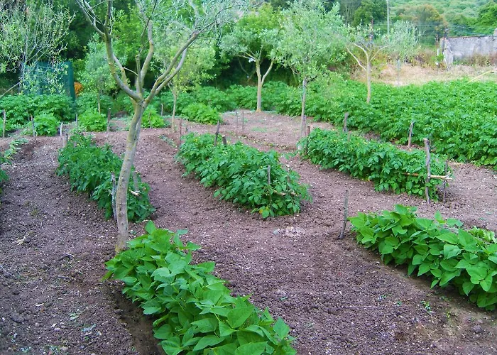 Фермерский дом Satanca *