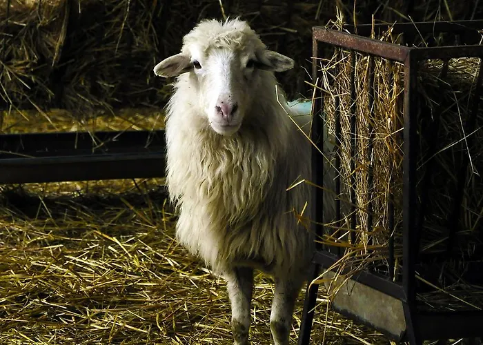 Фермерский дом Satanca Арбус