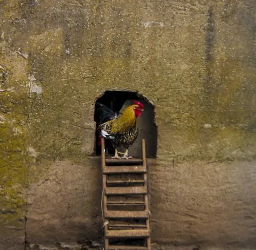 Фермерский дом Satanca