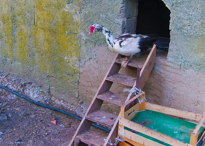 Фермерский дом Satanca *