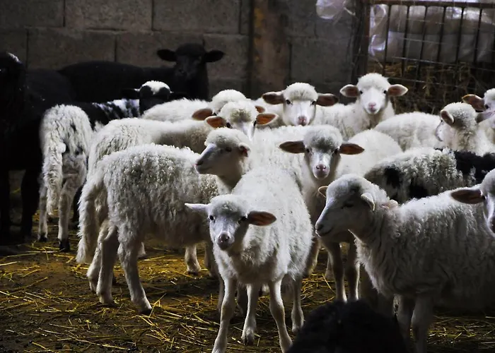 Satanca Фермерский дом *