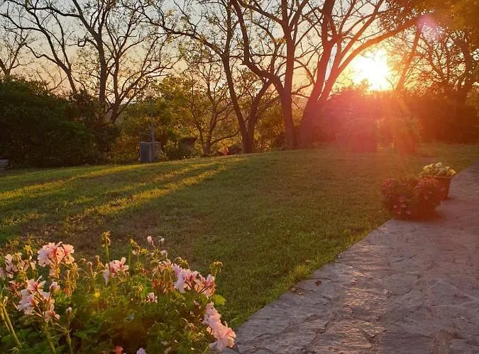 Satanca Фермерский дом